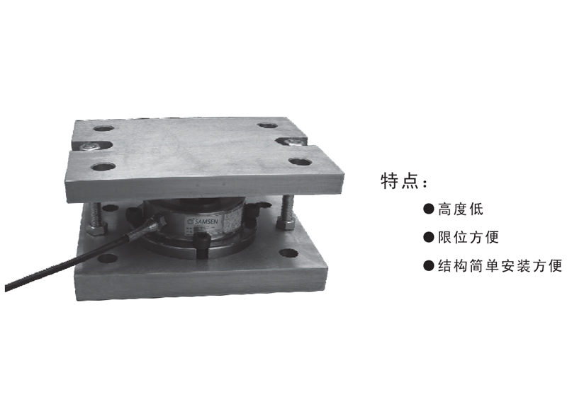 SS-201 weighing module
