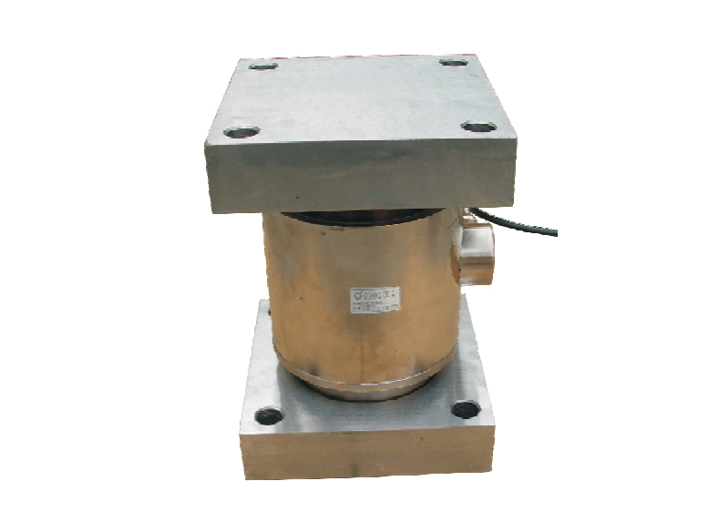 SS-810M weighing module